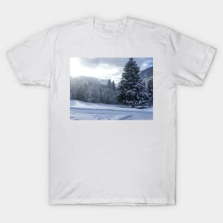 Tree in the mountains in Switzerland T-Shirt